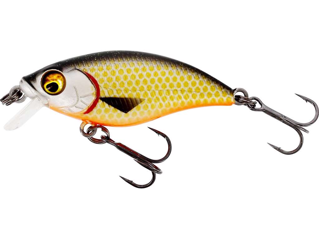 Vobleris WESTIN BUZZBITE SR CRANKBAIT