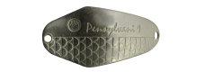 Blizgė Kibs Pensylvani 1